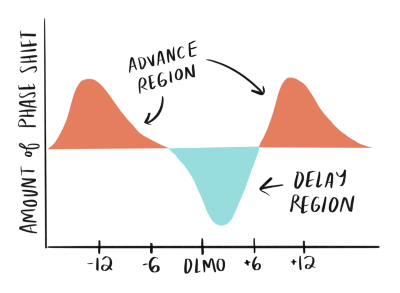 The Right Light: Mastering Your Circadian Rhythms