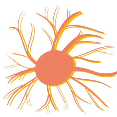 inTRO to ipRGCs ( Intrinsically Photosensitive Retinal Ganglion Cells)