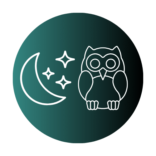 Why Life Is Harder for Night Owls: A Look at the Evidence