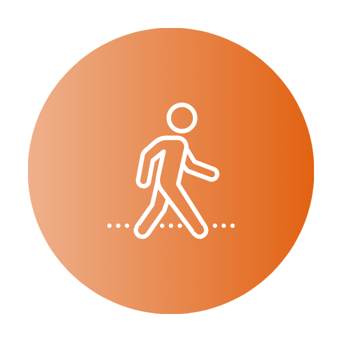 Circadian Rhythms Are Like Walking