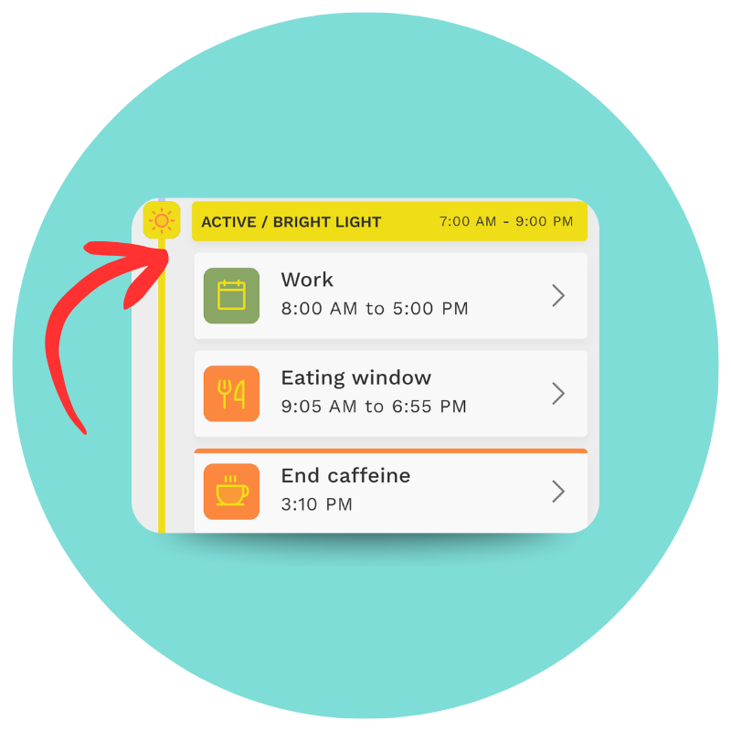 My Journey with Arcashift